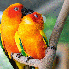 L'amour existe au royaume des 