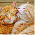 L'amour existe au royaume des 