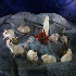 Une nouvelle vie pour Animaux 