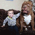 Le plus gros Pitbull du monde.