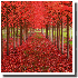 Ces arbres aux couleurs éblou