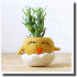 Des vases originaux .