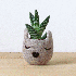Des vases originaux .