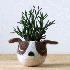 Des vases originaux .