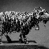 Sublimes sculptures d’animau