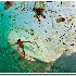 Des photographies qui illustre