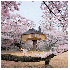 Maisons mystiques mais bien r
