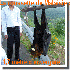 Des animaux gigantesques.