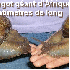 Des animaux gigantesques.