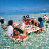 Endroits paradisiaques où vou