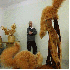 Un sculpteur transforme le boi