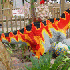 sculptures en LEGO qui vont vo