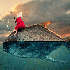 Photographies retouchées