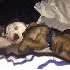 D'adorables chiots s’endorme
