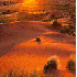 Le magnifique désert de Namib