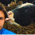 Selfie avec des animaux hilara