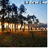 Forêts qui font la beauté de