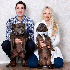 Deux chiens ont une touchante 
