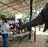 Village thaïlandais où viven