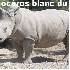 Animaux menacés par les humai