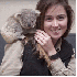 Un adorable koala orphelin .