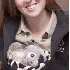 Un adorable koala orphelin .