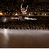 La grâce des danseuses de bal