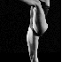 La grâce des danseuses de bal