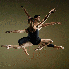La grâce des danseuses de bal