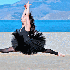 La grâce des danseuses de bal
