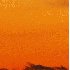Des couchers de soleil.