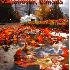 Les couleurs flamboyantes de l