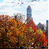 Les couleurs flamboyantes de l