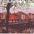 Les couleurs flamboyantes de l