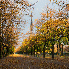 Les couleurs flamboyantes de l