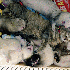Chaton, Adopté par 5 furets.