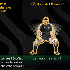 Les postures du Haka des All B