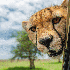 Clichés d’animaux drôles p