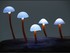 Petites lampes champignons.