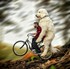 Il photoshoppe son chien pour 