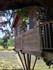 Cabane dans un arbre dans un c