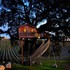 Cabane dans un arbre dans un c