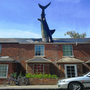 « Le requin », Oxford, Angleterre.