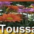 La Toussaint.