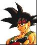 Bardock