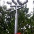 Storm (orage)