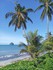 110626 Bonjour