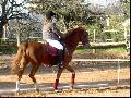 * Concours de dressage au ménèque!! :-)