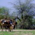 Saison des pluies ... Darfour