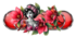 ECHANGE